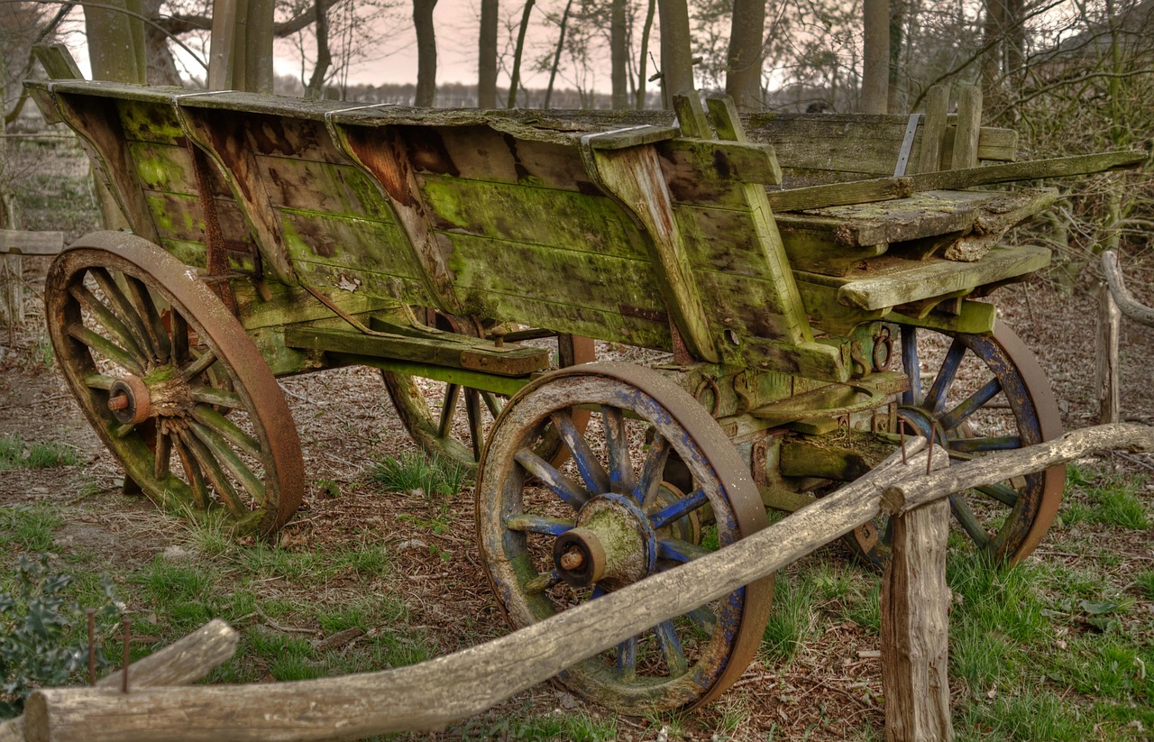 Cart - free online jigsaw puzzle photo