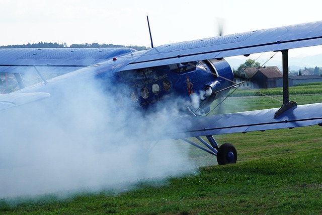 Free Flugshow Event photo and picture