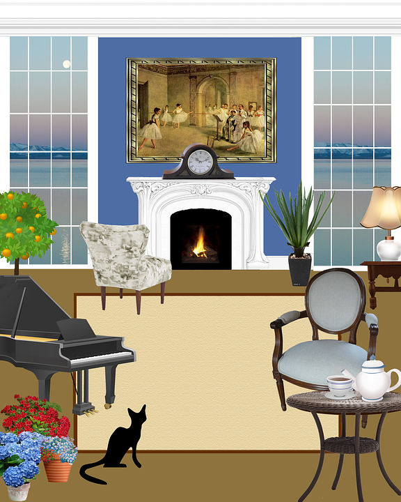 cat in living room