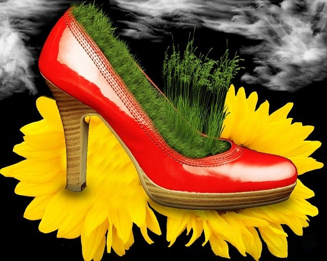Free shoes flower sunflower illustration