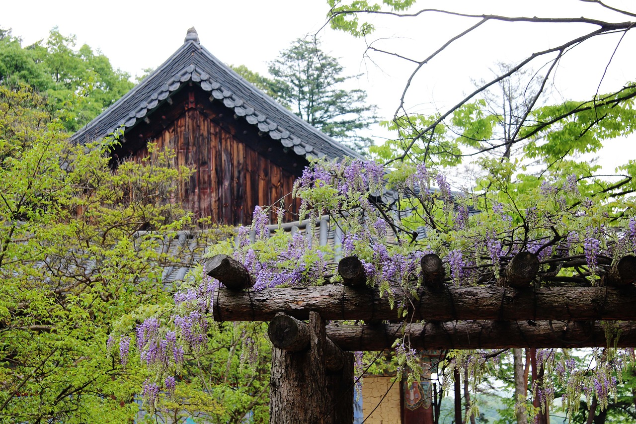 300 + 무료 사찰 & 절 이미지 - Pixabay