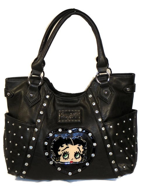 Free Handbag Purse photo and picture