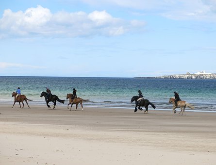 Free Horse Riding photo and picture