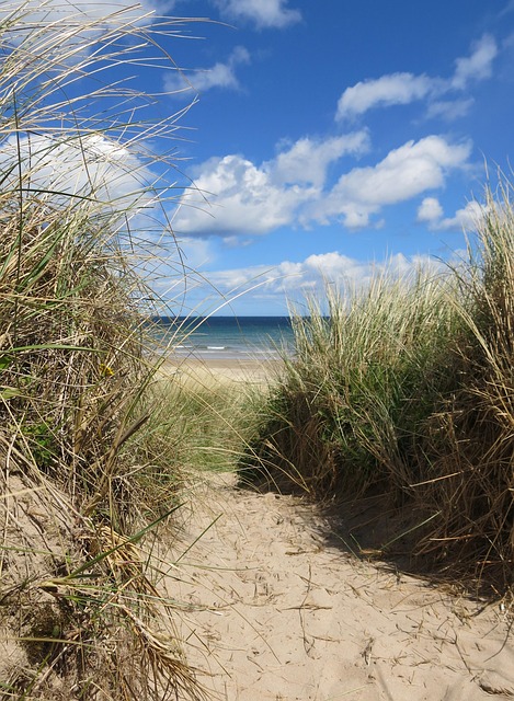 Free Dunes Northumberland photo and picture