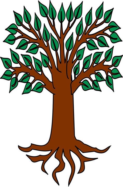 Albero Araldico Simbolo Grafica Vettoriale Gratuita Su Pixabay Design grafico icons to download | png, ico and icns icons for mac. albero araldico simbolo grafica