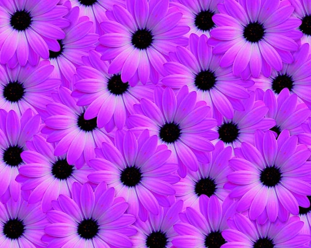 Free background flower nature illustration