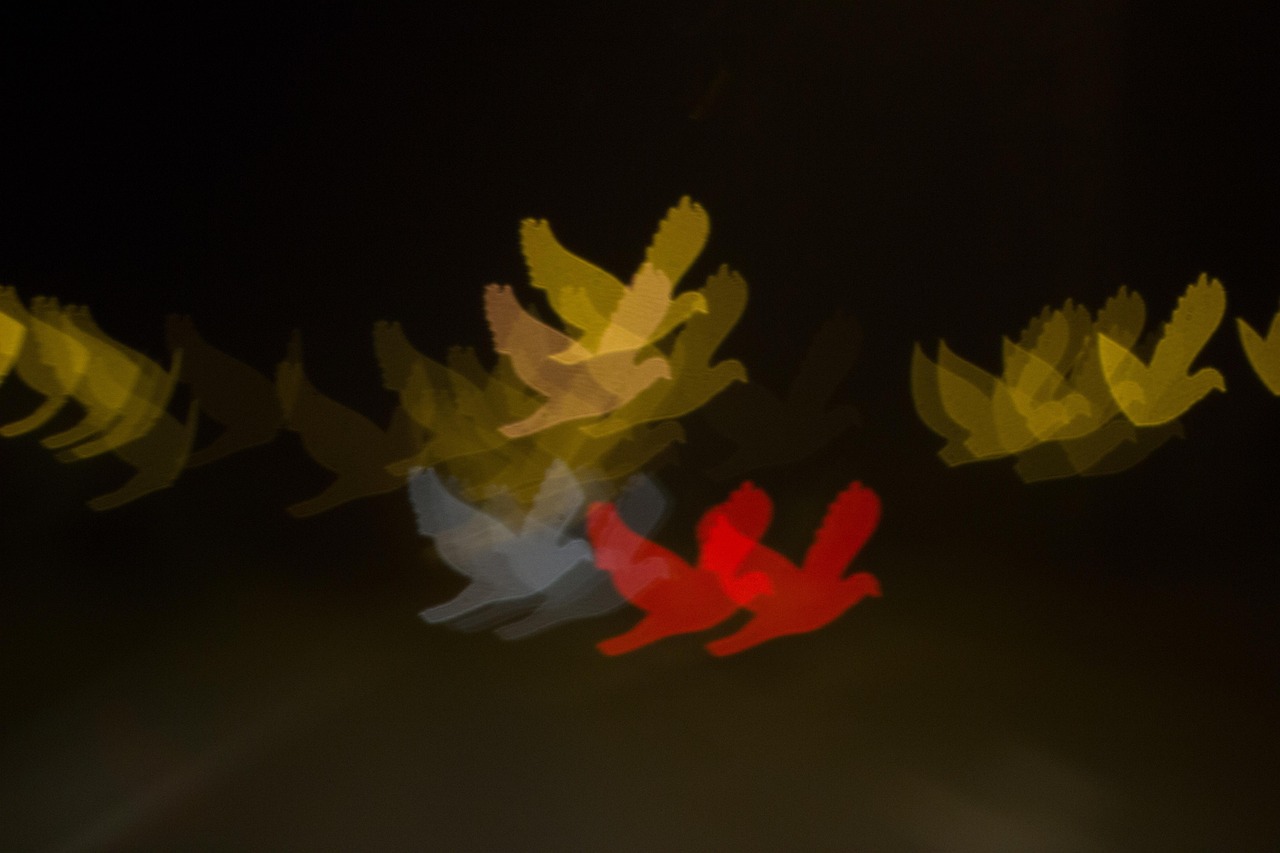 Bokeh - free online jigsaw puzzle photo