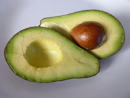 Free Avocado Fruit photo and picture
