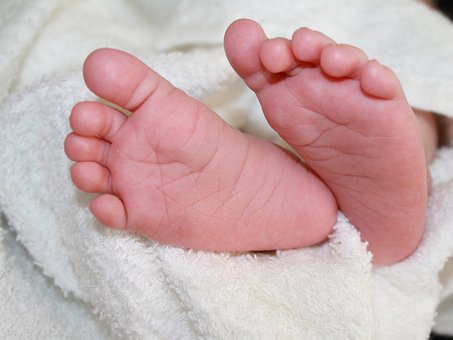Free Baby Feet photo and picture