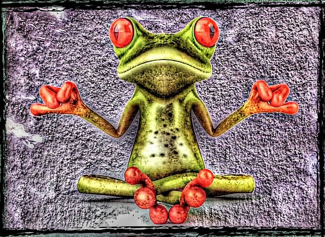 Free frog meditation relief illustration