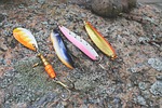 fish, fish equipment, wobbler