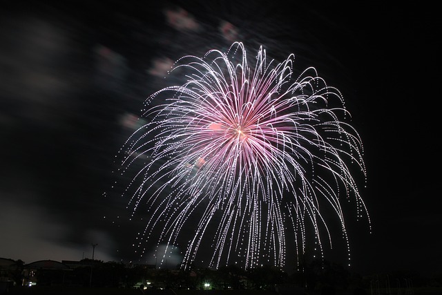 Fuegos Artificiales, Fukushima