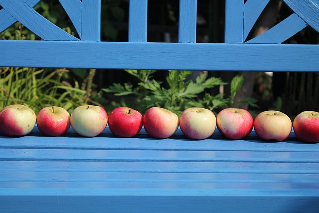 Free Fruit Nature photo and picture