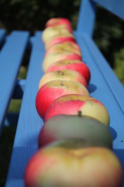 Free Fruit Apples photo and picture