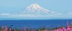 alaska, cook's inlet, coastal