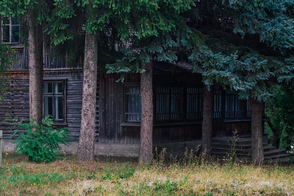House Nature Cabin - Free photo on Pixabay