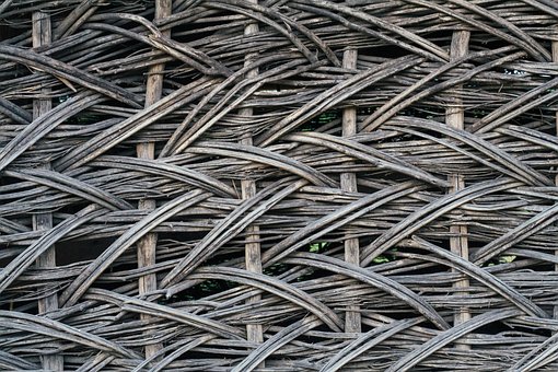 Free Tree Weaving photo and picture