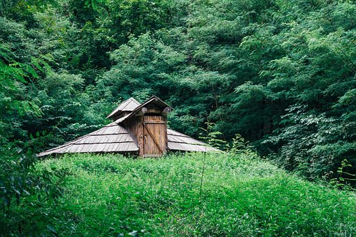 Free Hut Nature photo and picture