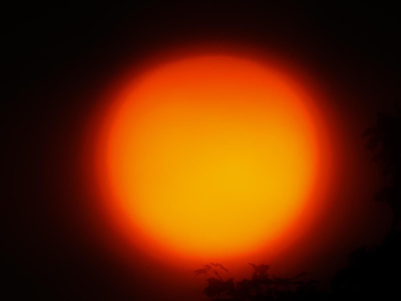 太阳 似乎是 光 - Pixabay上的免费照片 - Pixabay
