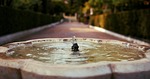 spain, spanish, fountain