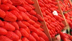strawberries, market, open market