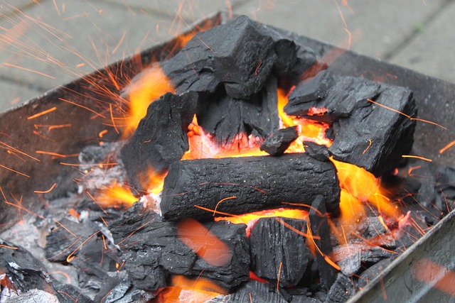 Grillen, Vuur, Houtskool, Vlam, Mehran B