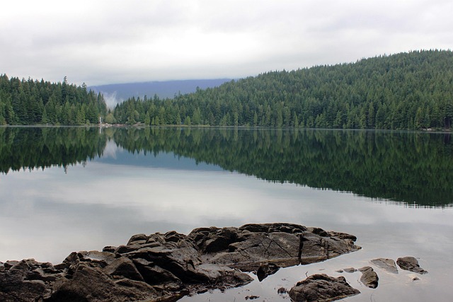 Meer, Water, Sasamat Meer, Vancouver