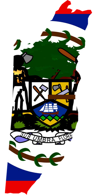 Free belize central america flag illustration