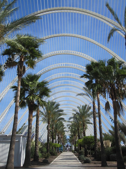 Free City Of Arts And Sciences Valence photo and picture