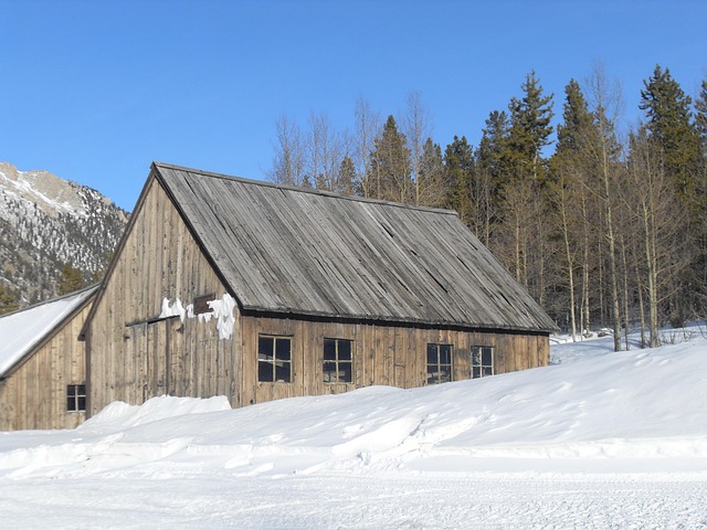 Holzhaus, Verlassen, Wald, Berg, Elmo
