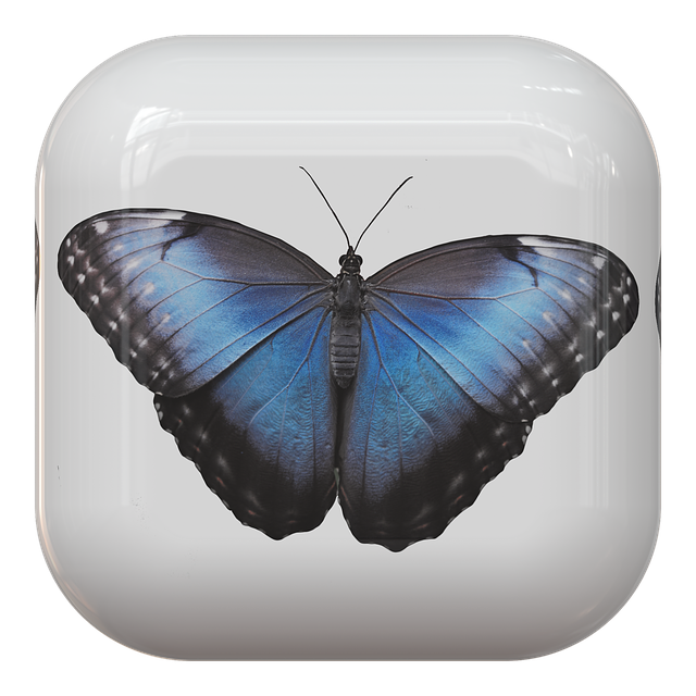 Download free HD stock image of Button Stud Free button stud butterfly illustration