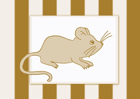 Free Mouse Animal illustration and picture