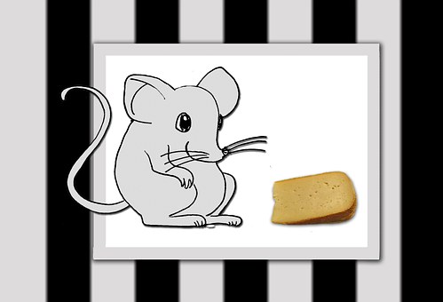 Free Mouse Animal illustration and picture