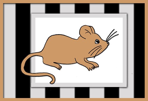 Free Mouse Animal illustration and picture
