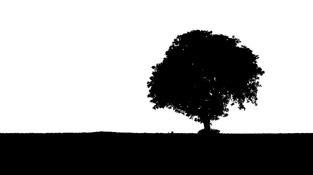 Free tree silhouette black illustration
