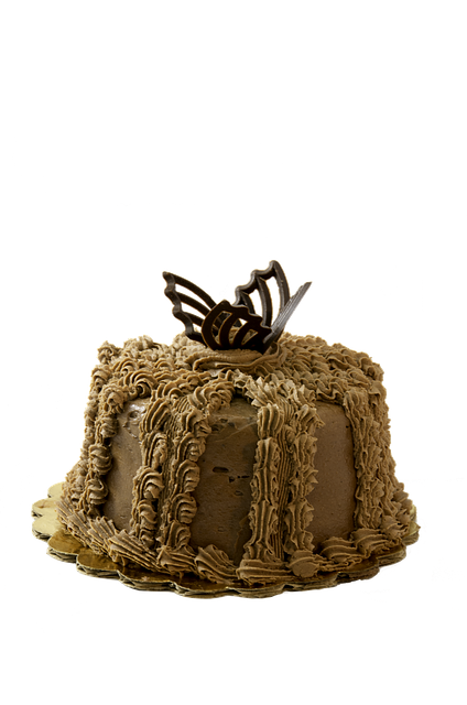 Free Chocolate Cake illustration and picture