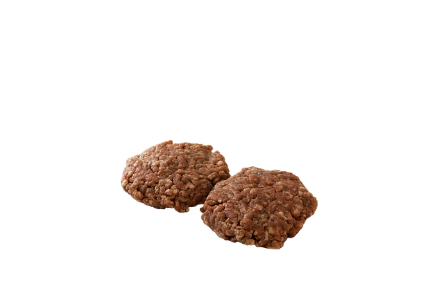 Free ground beef patty beef illustration