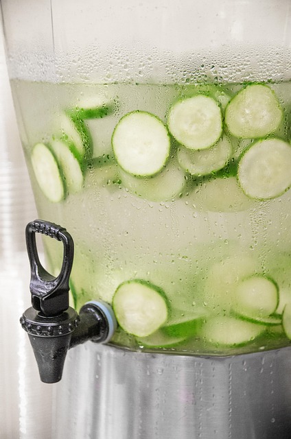 Free Water Cucumber photo and picture
