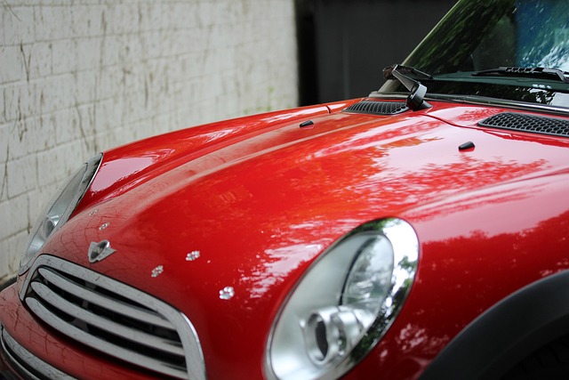 Free Automobile Mini photo and picture