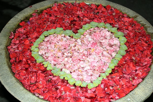 Hart, Bloemen, Thailand, Dol Zijn Op