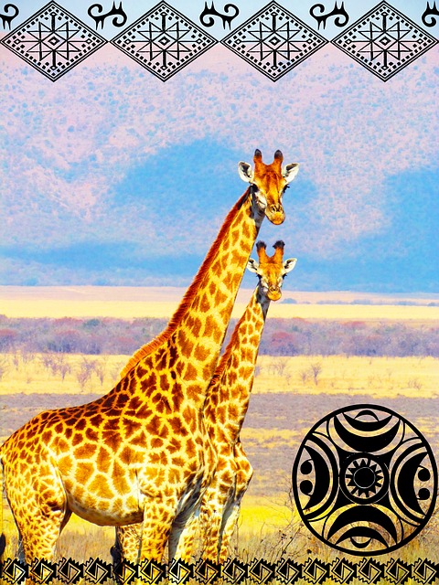 Free giraffe africa safari illustration
