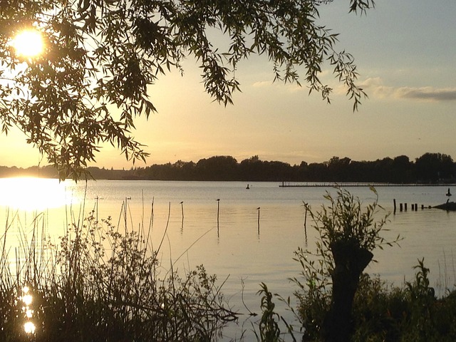 Müritz, Sø, Vand, Mecklenburg, Idyllisk