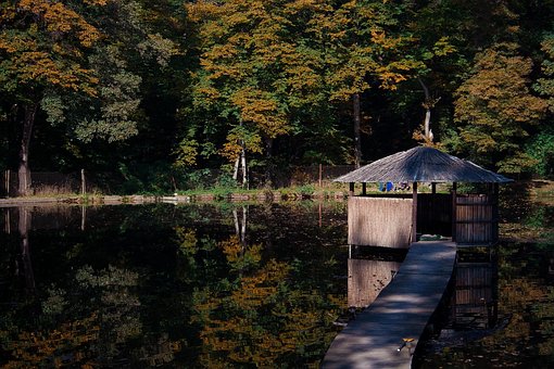 Free Autumn Joint photo and picture