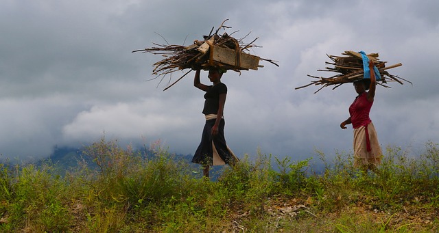 Free Women Wood photo and picture