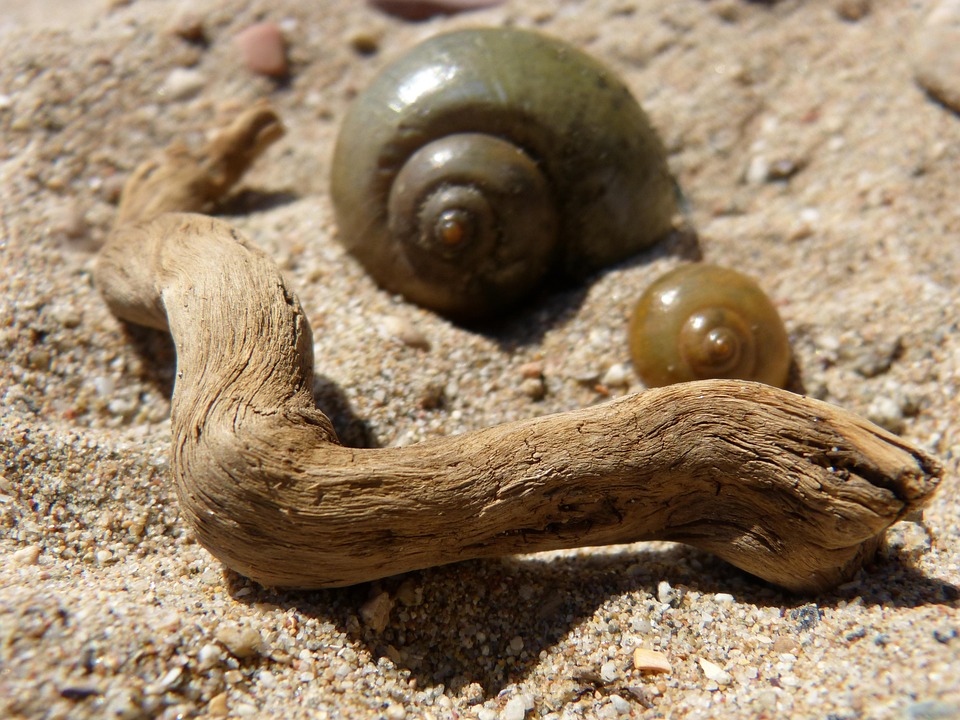 Get Stillleben strand For Free
