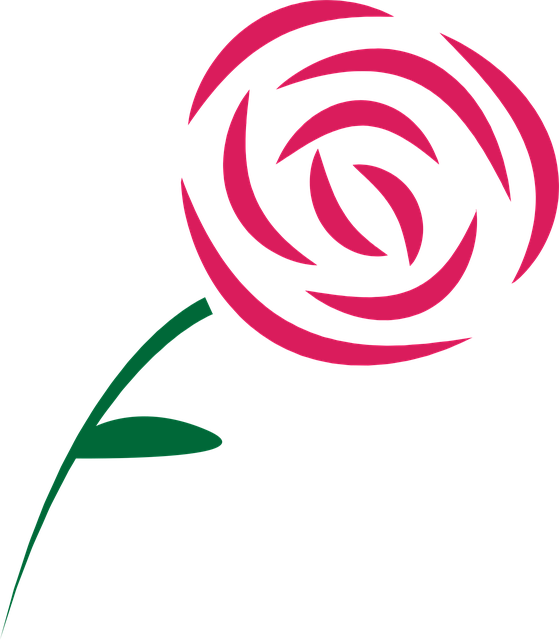 Free Rose Rose Flower vector and picture