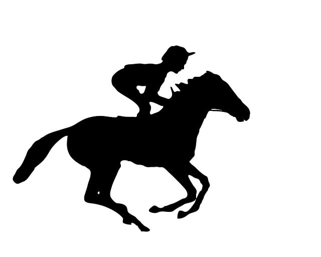 Free jockey horse horse rider illustration