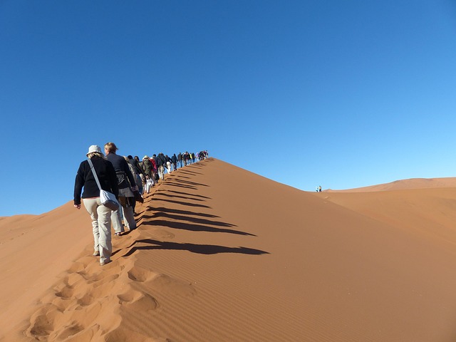 Free Sussusvlie Sand Dunes photo and picture
