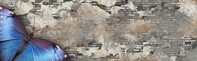 Free banner header butterfly illustration