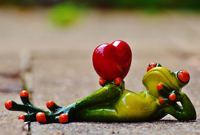 Download free HD stock image of Love Pose Free Love Pose photo and picture